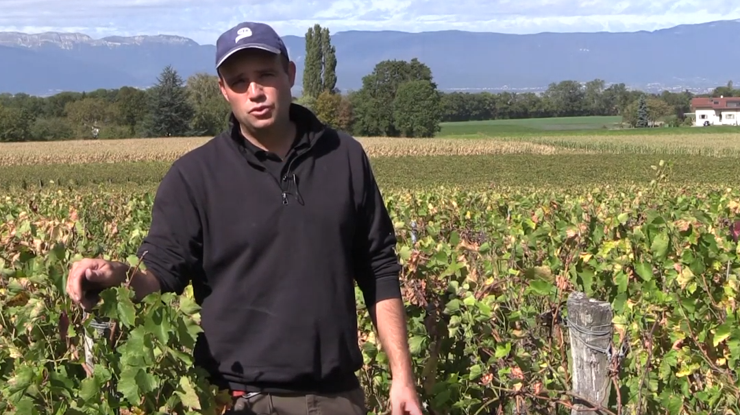 Découvrez le Domaine Château L&rsquo;Évêque en vidéo